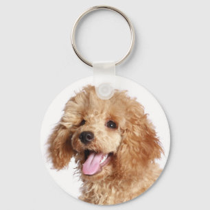 Abriot Poodle Mam Puppy Dog Pa Fur Mama Puppies Sleutelhanger