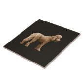 Abriot Poodle Tegeltje (Zijkant)