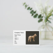 Abriot Poodle Visitekaartje (Staand voorkant)