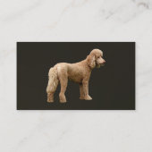 Abriot Poodle Visitekaartje (Achterkant)