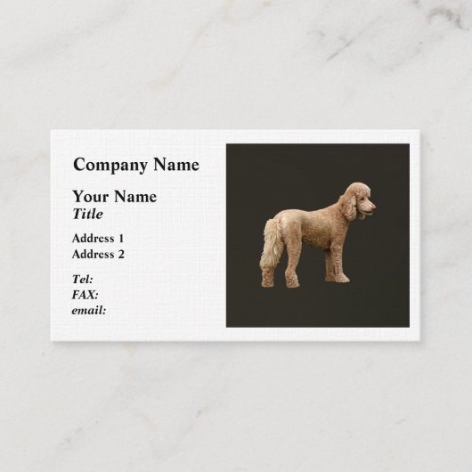Abriot Poodle Visitekaartje (Voorkant)