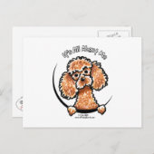Abriot Speelgoed Miniature Poodle IAAM Briefkaart (Voorkant / Achterkant)