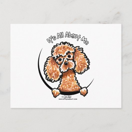 Abriot Speelgoed Miniature Poodle IAAM Briefkaart (Voorkant)