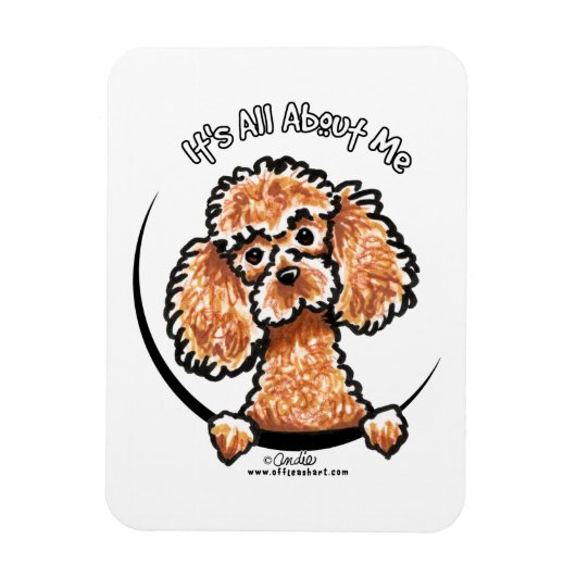 Abriot Speelgoed Miniature Poodle IAAM Magneet (Verticaal)