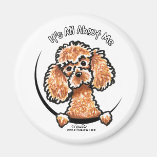 Abriot Speelgoed Miniature Poodle IAAM Magneet