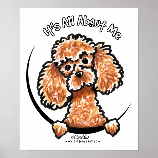 Abriot Speelgoed Miniature Poodle IAAM Poster (Voorkant)