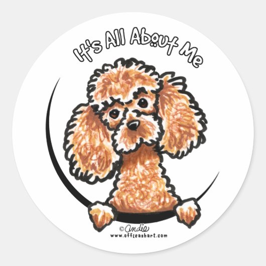 Abriot Speelgoed Miniature Poodle IAAM Ronde Sticker (Voorkant)