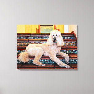 Abriot Standard Poodle - Bocelli Canvas Afdruk