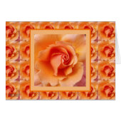 Abrit Roos ventilator dicht foto (Voorkant Horizontaal)