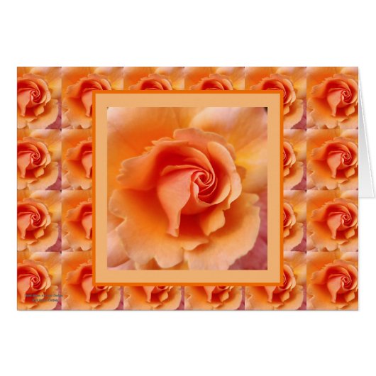 Abrit Roos ventilator dicht foto (Voorkant Horizontaal)