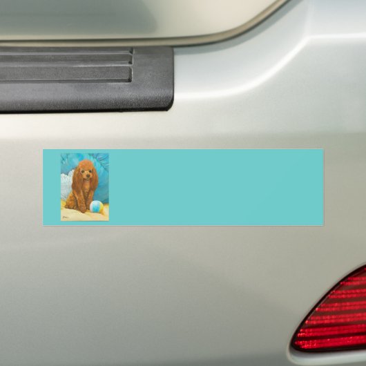 Abrite rode poel met balkband bumpersticker (Op auto)