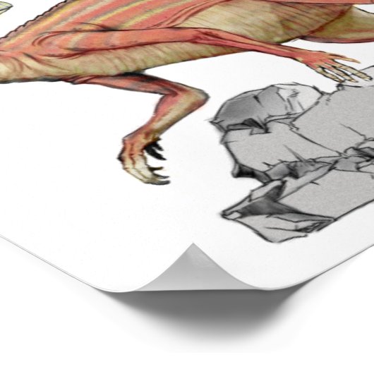 Abritosaurus - Jurassic Dinosaur Portfolio Poster (Hoek)