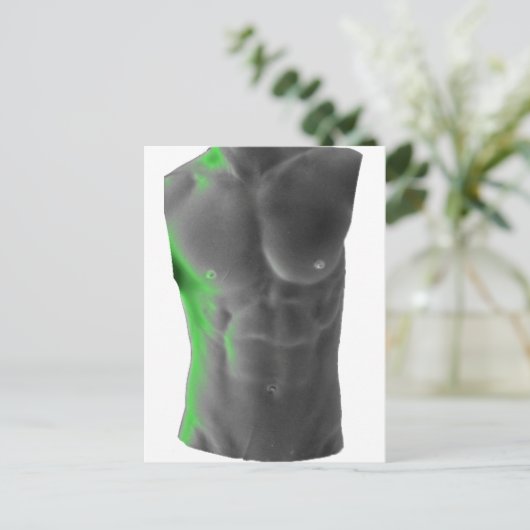 Abs Briefkaart (Staand voorkant)