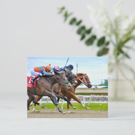 Absentee- Irad Ortiz jr. Camgo, Irish Roar Briefkaart (Staand voorkant)