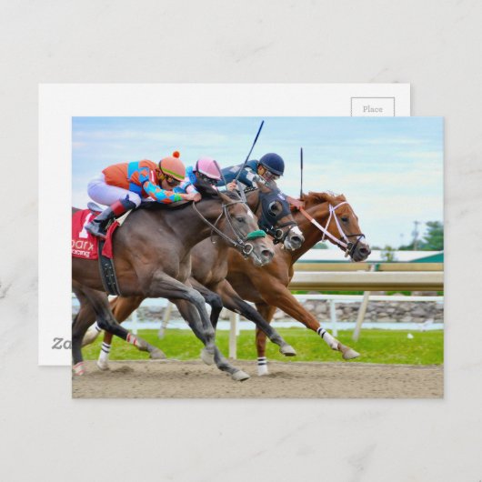 Absentee- Irad Ortiz jr. Camgo, Irish Roar Briefkaart (Voorkant / Achterkant)