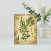 Absinthe Botanische Collage Briefkaart (Staand voorkant)