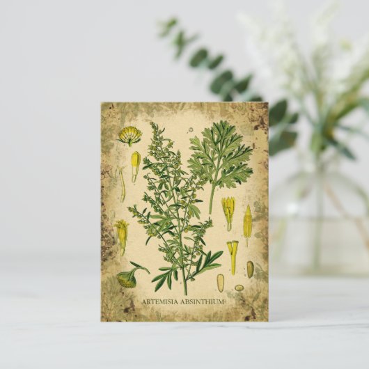 Absinthe Botanische Collage Briefkaart (Staand voorkant)