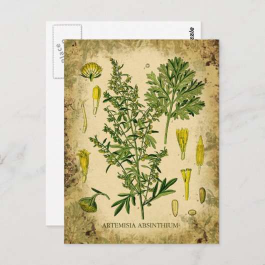 Absinthe Botanische Collage Briefkaart (Voorkant / Achterkant)