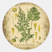 Absinthe Botanische Collage Ronde Sticker (Voorkant)