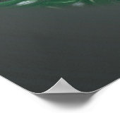 Absinthe: Dierlijke verkenning van de ringweg Anis Poster (Hoek)