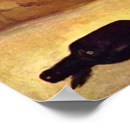 Absinthe Drinker door Edouard Manet Poster (Hoek)