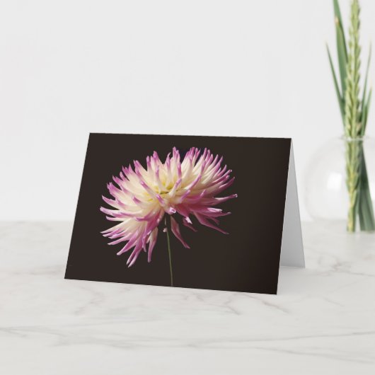 absolute schoonheid kaart (Voorkant)