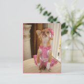 absoluut leuk chihuahuabriefkaart briefkaart (Staand voorkant)