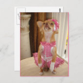 absoluut leuk chihuahuabriefkaart briefkaart (Voorkant / Achterkant)