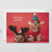 Absoluut ondeugende foto van een huisdier Schattig Feestdagenkaart (Voorkant)