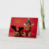 Absoluut ondeugende foto van een huisdier Schattig Folie Feestdagenkaart (Voorkant)
