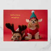 Absoluut ondeugende foto van een huisdier Schattig Folie Feestdagenkaart (Voorkant)