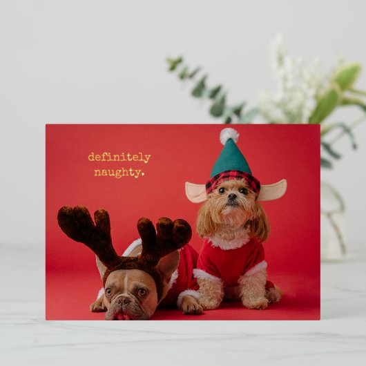 Absoluut ondeugende foto van een huisdier Schattig Folie Feestdagenkaart (Staand Voorkant)