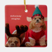 Absoluut ondeugende foto van een huisdier Schattig Keramisch Ornament (Voorkant)