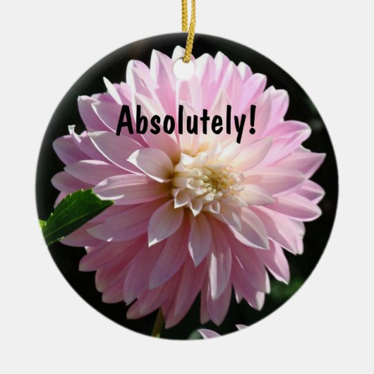 Absoluut, oranment Pink Dahlia Boss cadeaus Keramisch Ornament (Voorkant)