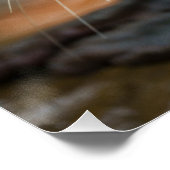 absoluut verrast perfect poster (Hoek)