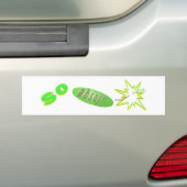 Absopos Bumpersticker (Op auto)