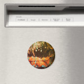 Abstract347 Magneet (Insitu (Vaatwasser))