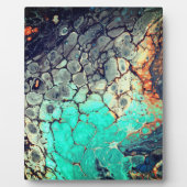 Abstract491 Fotoplaat (Voorkant)