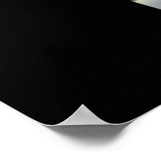 abstract #1 poster (Hoek)