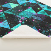 Abstract #509 sherpa deken (3/4)