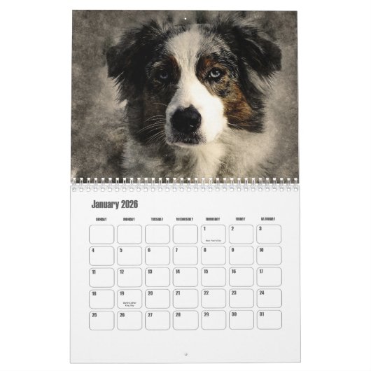 Abstract Art Dogs 2 Kalender (Jan 2026)