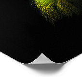 Abstract Artistic Pink Rose Poster (Hoek)