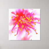 Abstract artistieke peach Blossom Macro Canvas Afdruk (Voorkant)