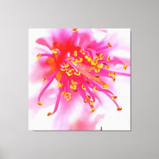 Abstract artistieke peach Blossom Macro Canvas Afdruk (Voorkant)
