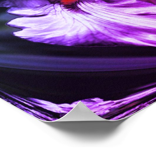 Abstract Bearded Iris Flower Art Poster (Hoek)