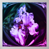 Abstract Bearded Iris Flower Art Poster (Voorkant)