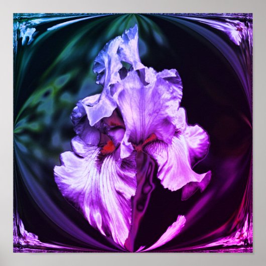 Abstract Bearded Iris Flower Art Poster (Voorkant)