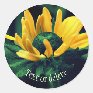 Abstract Black Eyed Susan Flower Personalized Ronde Sticker