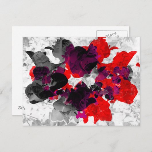 Abstract bloemontwerp - rood en paars boven wit briefkaart (Voorkant / Achterkant)