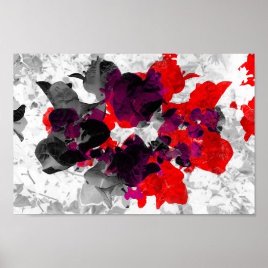 Abstract bloemontwerp - rood en paars boven wit poster (Voorkant)